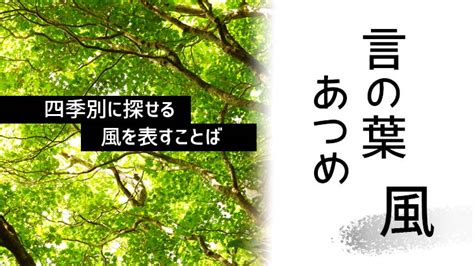 風形容|【風】を表す言葉20選！風の種類・風にまつわる日本。